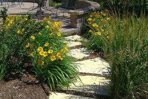25 25